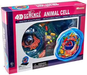 TEDCO Famemaster 6-inch animal cell model shows detachable parts for hands-on learning.