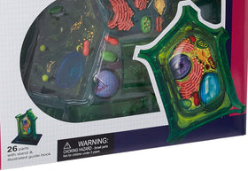 TEDCO Famemaster 24-part model close-up highlights painted details and detachable parts