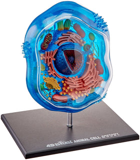 TEDCO Famemaster detachable parts enable interactive assembly and exploration.