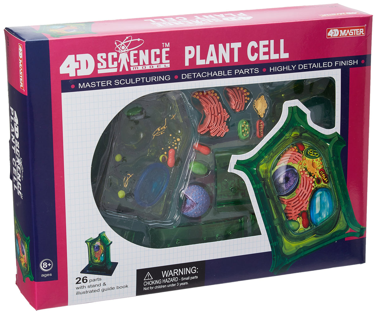 TEDCO Famemaster plant cell model showing inner structures through a transparent shell for classroom demos