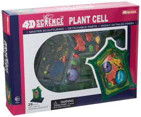 TEDCO Famemaster plant cell model showing inner structures through a transparent shell for classroom demos