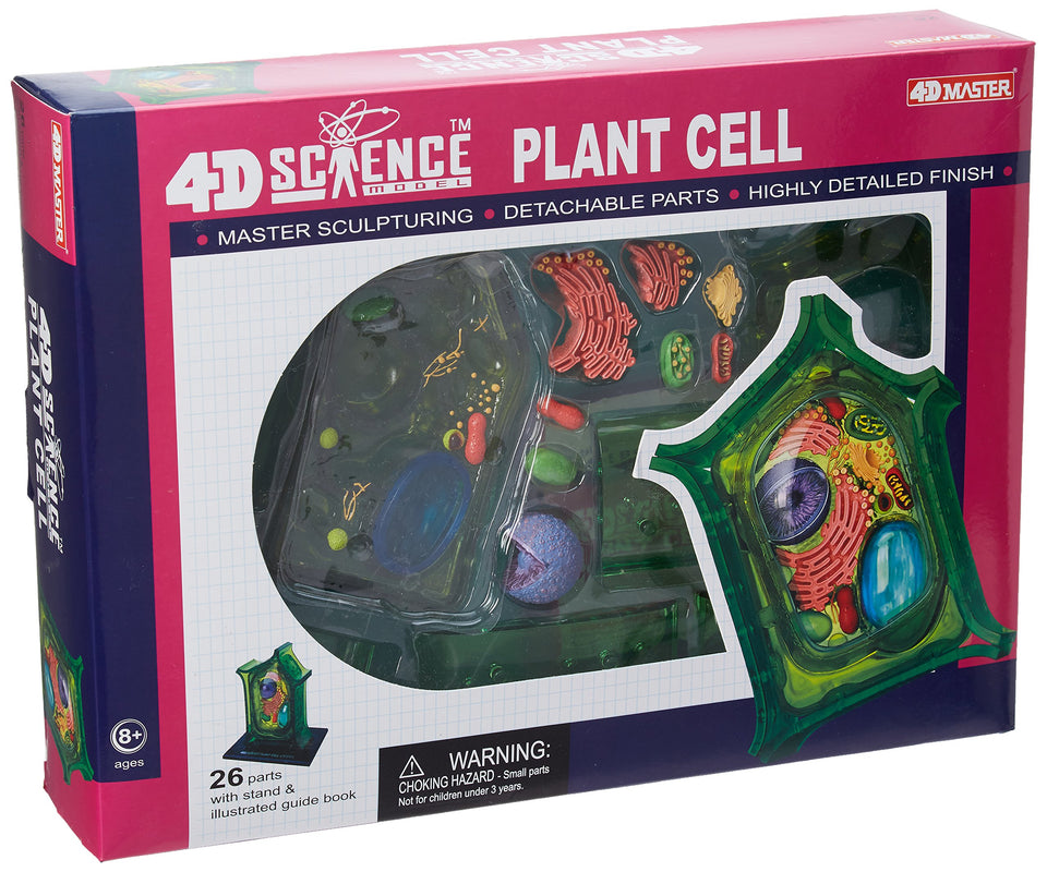 TEDCO Famemaster plant cell model showing inner structures through a transparent shell for classroom demos