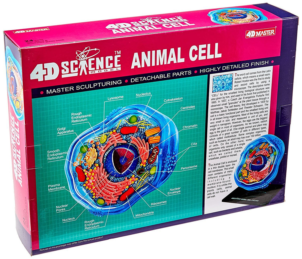 TEDCO Famemaster transparent housing reveals internal cell structures for visual learners.