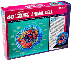 TEDCO Famemaster transparent housing reveals internal cell structures for visual learners.