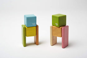 Tegu Pocket Pouch 8-Piece Tints heritage-quality premium construction