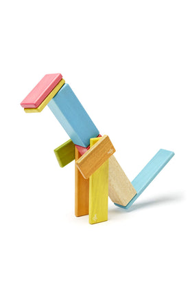 Tegu magnets embedded blocks spark imaginative construction.
