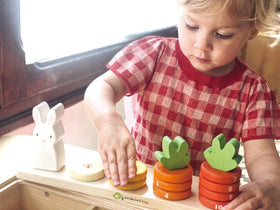 Tender Leaf Toys Counting Carrots detailed numbers on rings support early numeracy learning.