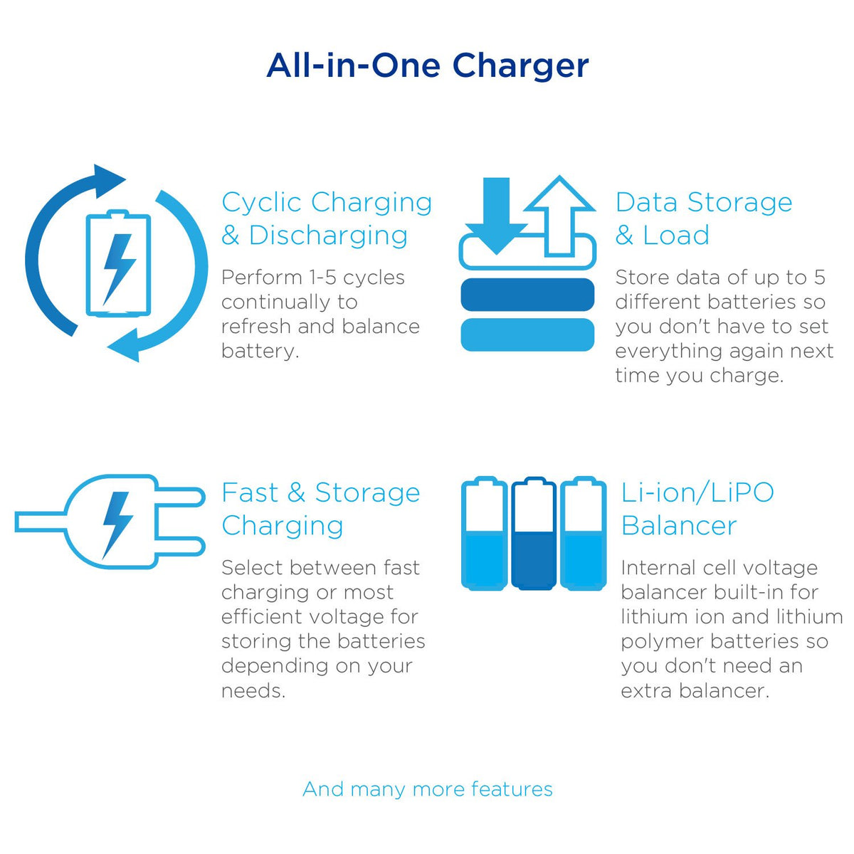 Tenergy charger supports NiMH NiCd LiPO Li-ion LiFePO4 for versatile pack compatibility.