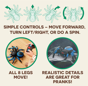 Terra by Battat RC spider quick 360° spin for dynamic action