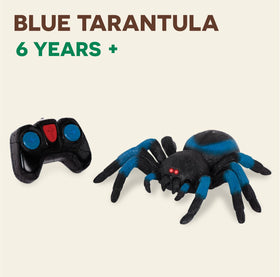 Terra by Battat tarantula blue stripes and realistic fangs for immersive play