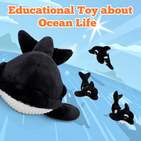 Tezituor orca bedroom decor setup adds playful ocean vibe