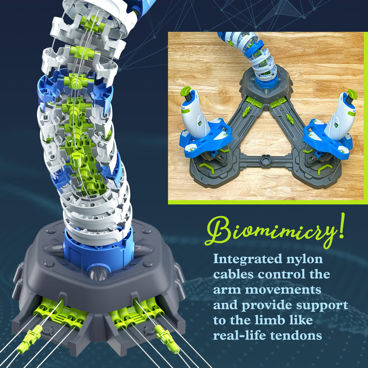 Thames & Kosmos Bionic Arm cable network demonstrates cable-driven motion.