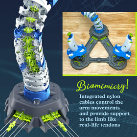 Thames & Kosmos Bionic Arm cable network demonstrates cable-driven motion.