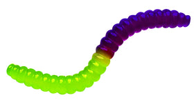 Thames & Kosmos gummy molds shape worms and spiders for creative science play.