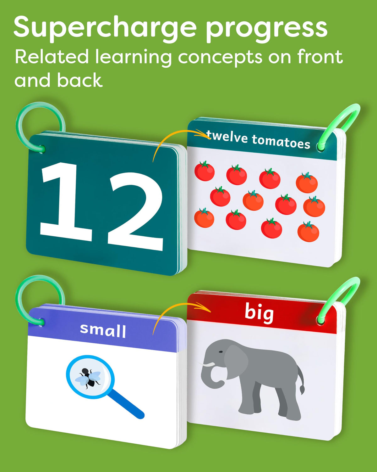 Double sided jumbo sized cards provide ample visibility and easy handling for kids.