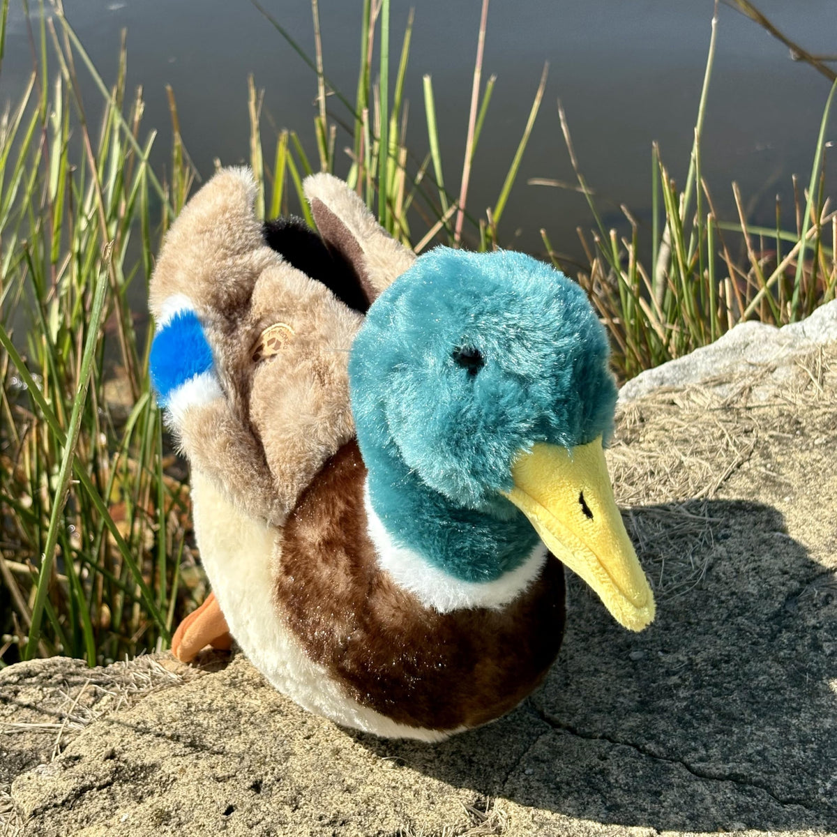 The Petting Zoo duck plushie bright head sparks imagination during play.