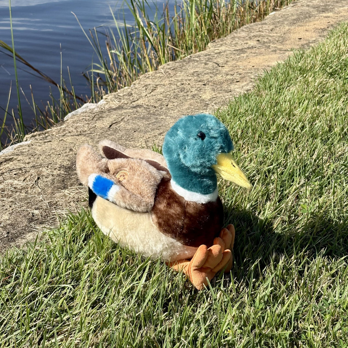 The Petting Zoo duck plushie yellow beak for adorable expression.