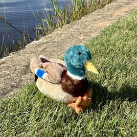 The Petting Zoo duck plushie yellow beak for adorable expression.