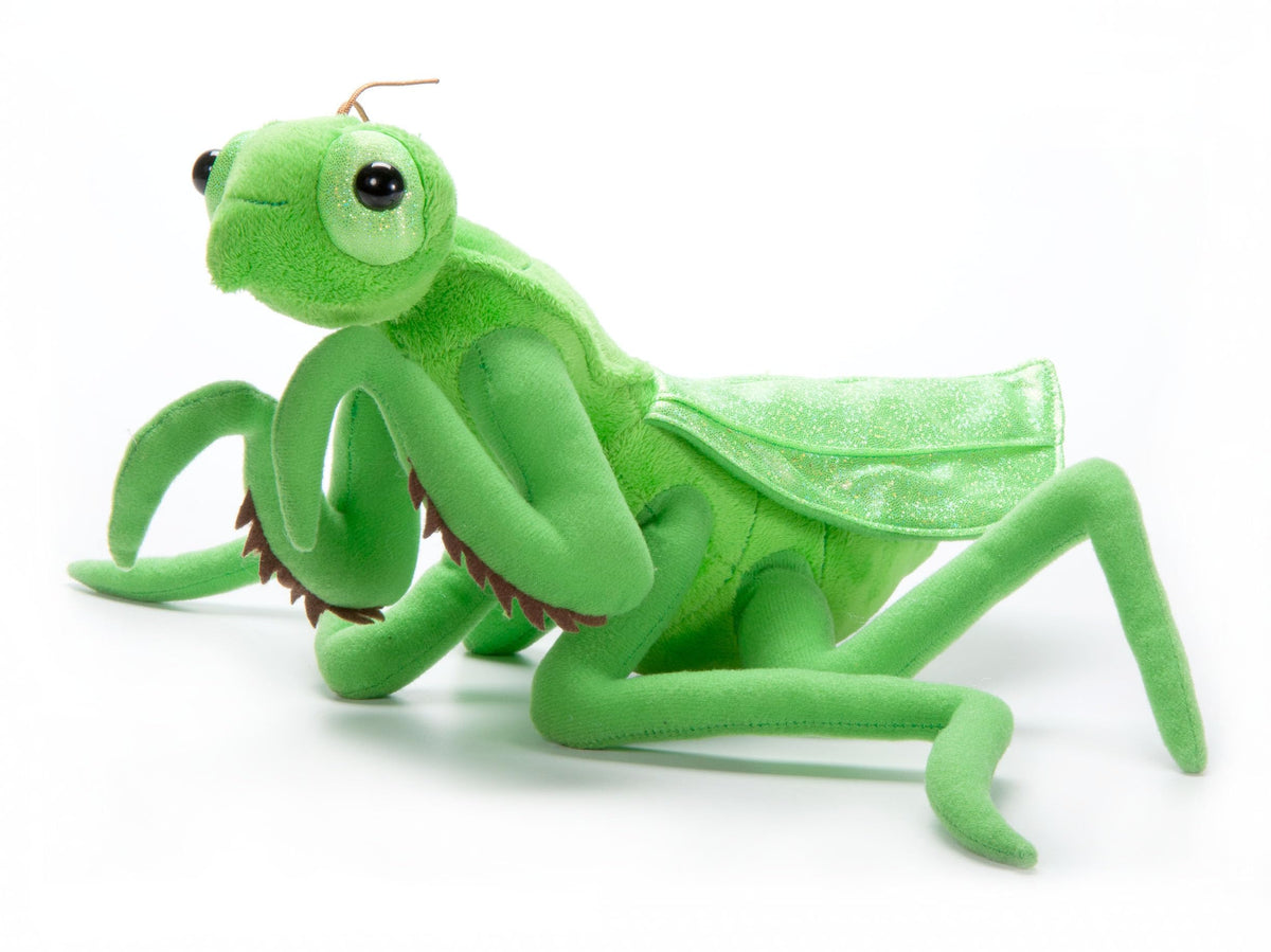 The Petting Zoo Praying Mantis plushie with green body, ideal for calming playtime.