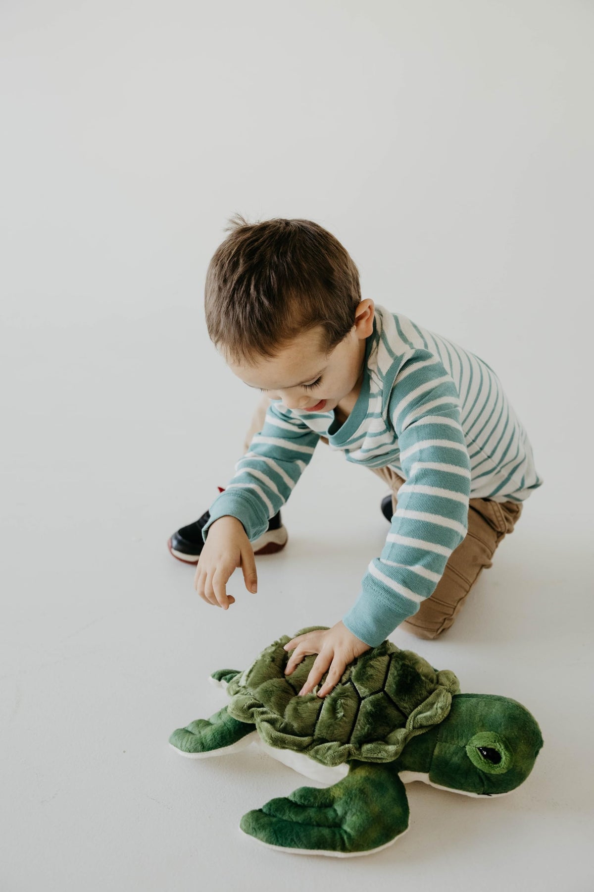 The Petting Zoo sea turtle plush packaging, gift ready and inviting.
