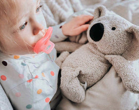 Thermal-Aid Olli Koala kid-friendly-design image for comforting kids