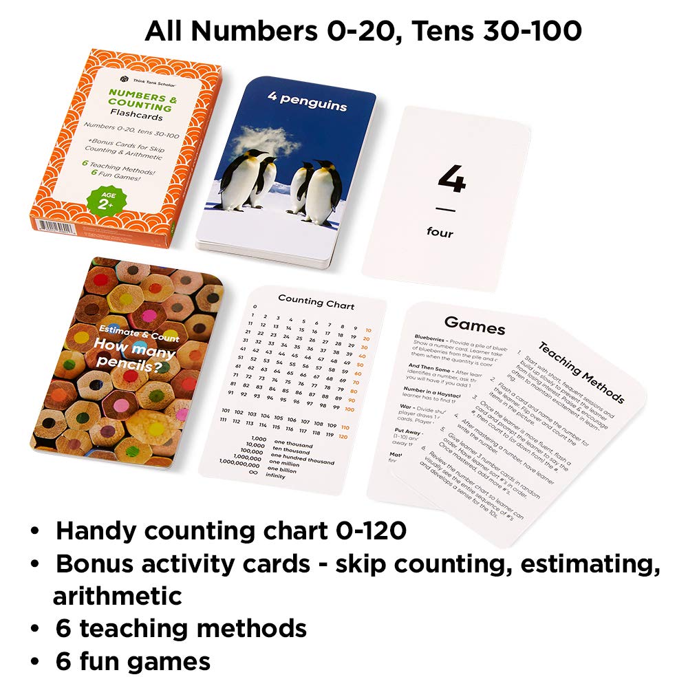 Think Tank Scholar coated jumbo cards provide smooth handling and quick sorting.