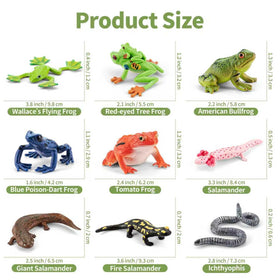 ThinkBay ichthyophis figurine introduces caecilian anatomy in hands-on learning