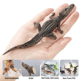 ThinkBay boar crocodile model enhances playroom scenes