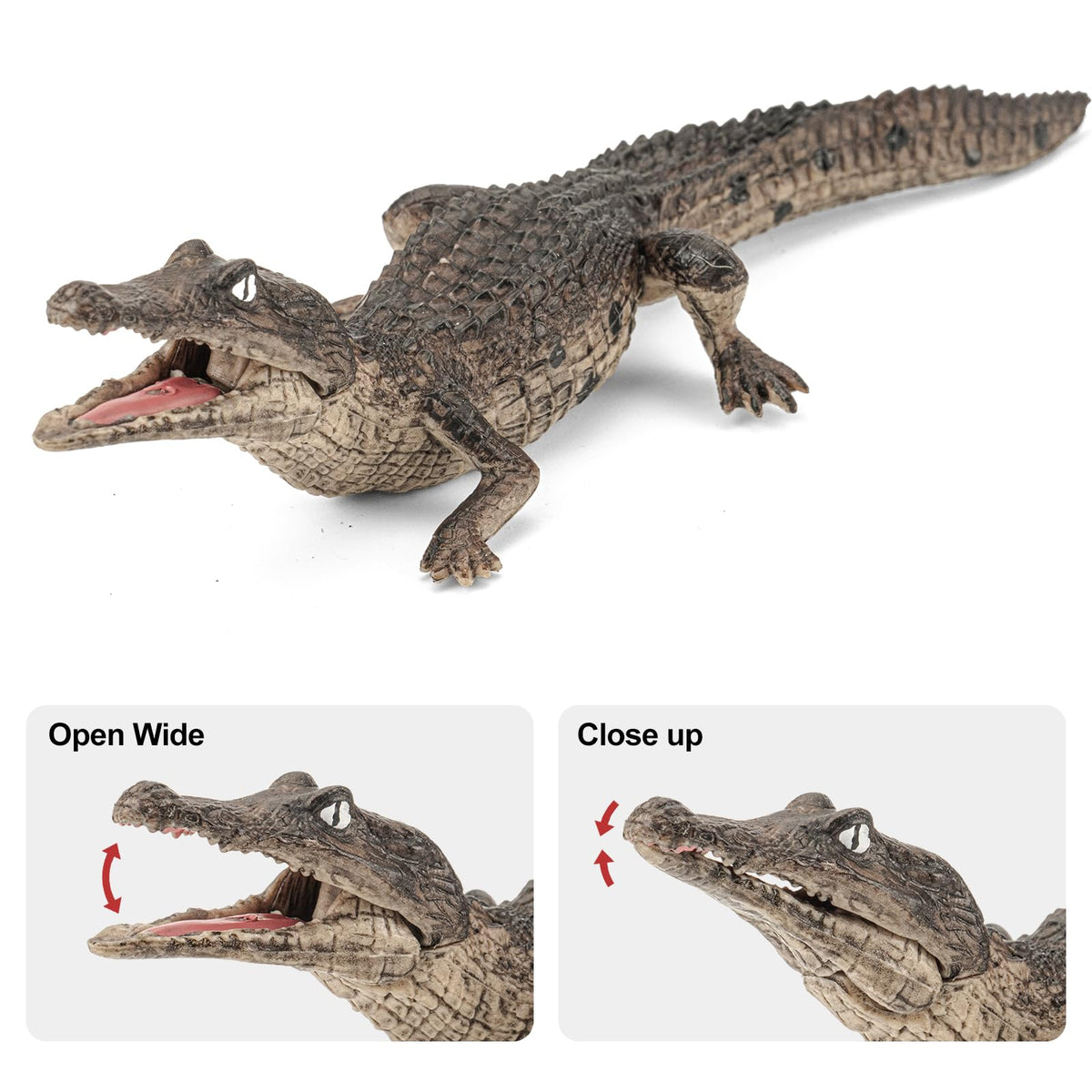 ThinkBay saltwater crocodile figure for realistic dioramas and projects