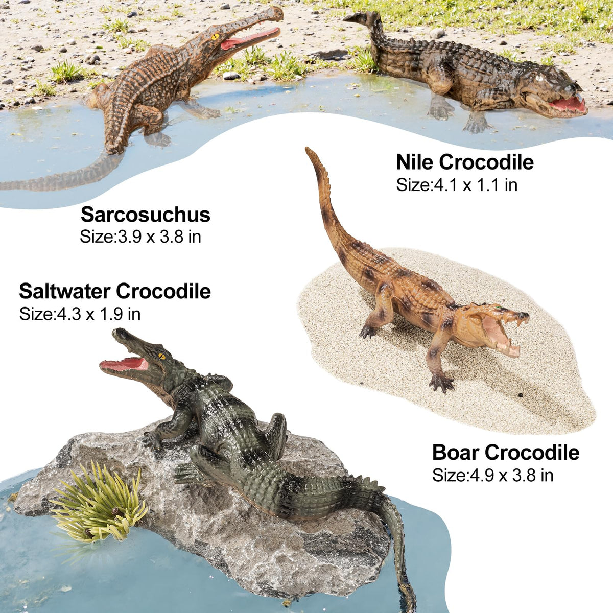 ThinkBay white caiman toy as a striking display piece and play companion