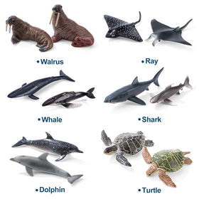 THINKBAY dolphin figures inspire oceanic adventures during storytelling.