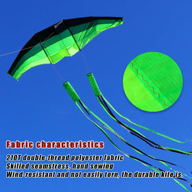 TianYueFly adult beach kite in flight, eye-catching presence on windy days.