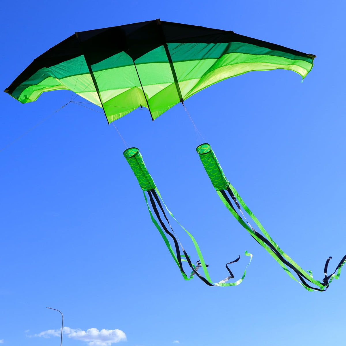 TianYueFly huge 3D gliders kite in assembly view, easy setup for adult flyers.