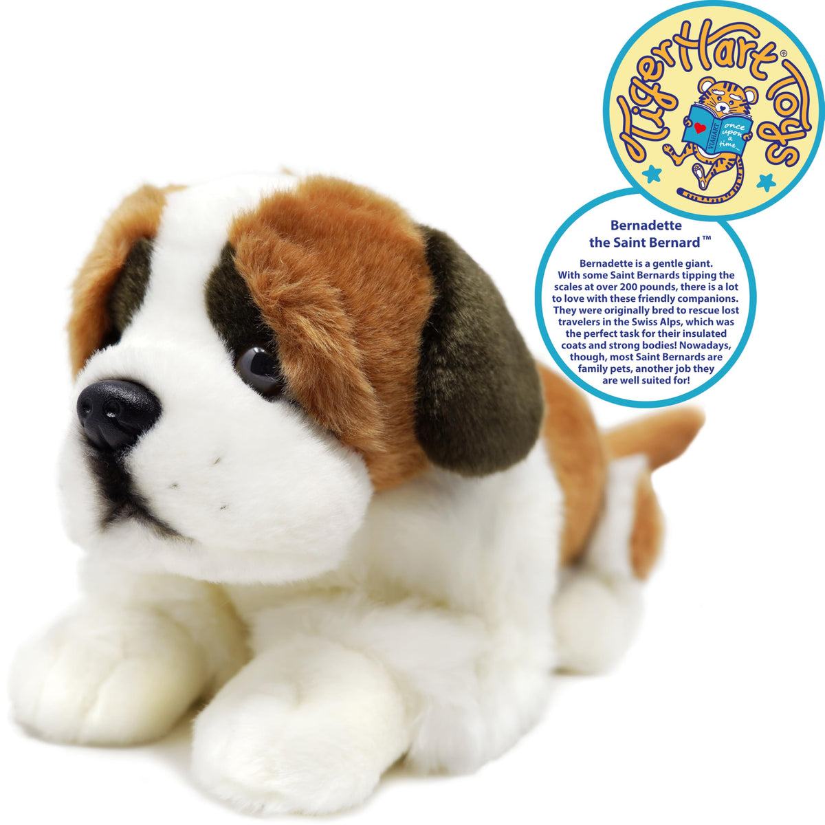 TigerHart Bernadette face detail with friendly eyes for comforting companionship.
