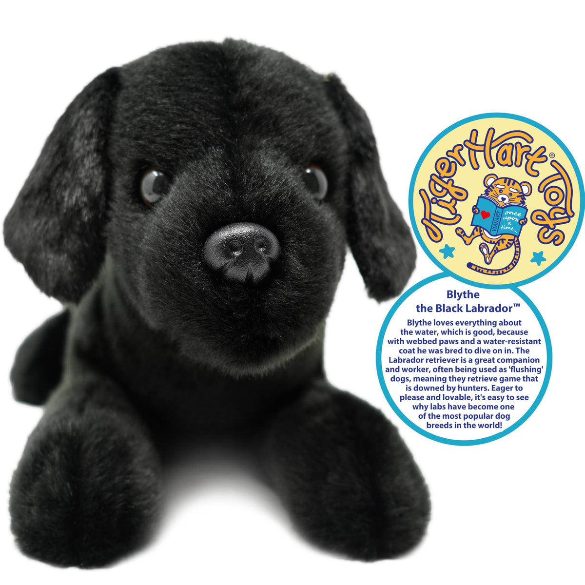 TigerHart Blythe Black Lab stitching closeup, secure construction for longevity