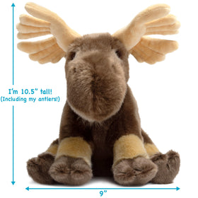 TigerHart Martin Moose plush showing secure stitching for durability.