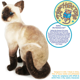 TigerHart Stefan Siamese Cat cream body and color-spread fur for visual appeal.