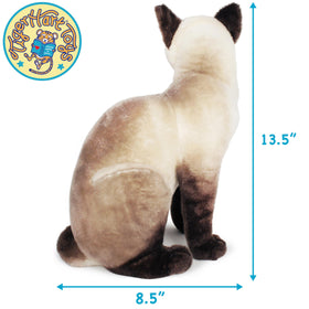 TigerHart Stefan Siamese Cat paws invite gentle cuddling and interactive play.