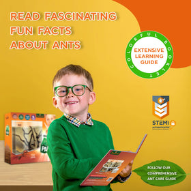 Tigerific Ant Farm learning booklet brings science facts to curious minds.