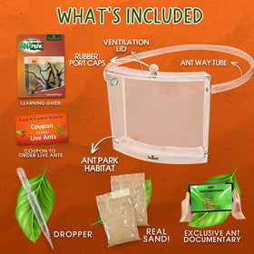 Tigerific Ant Farm live ants option supports hands-on exploration.