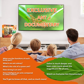 Tigerific Ant Farm maximum viewing angles suit classrooms and at-home learning.