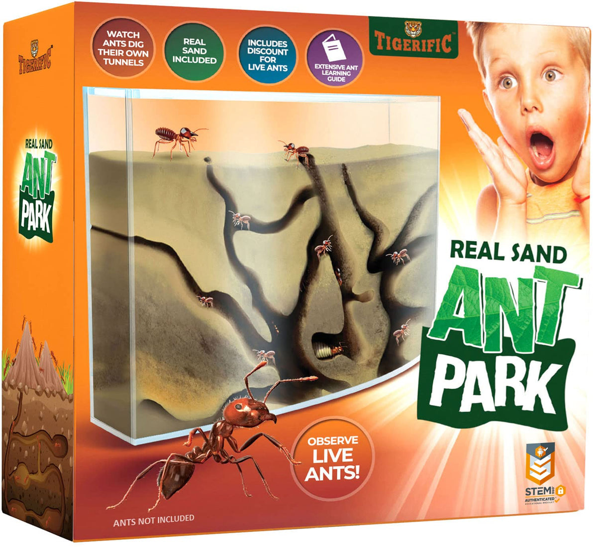 Tigerific Ant Farm transparent colony for clear tunnel viewing and learning.