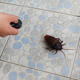 Tipmant cockroach includes a screwdriver tool for easy battery replacement.