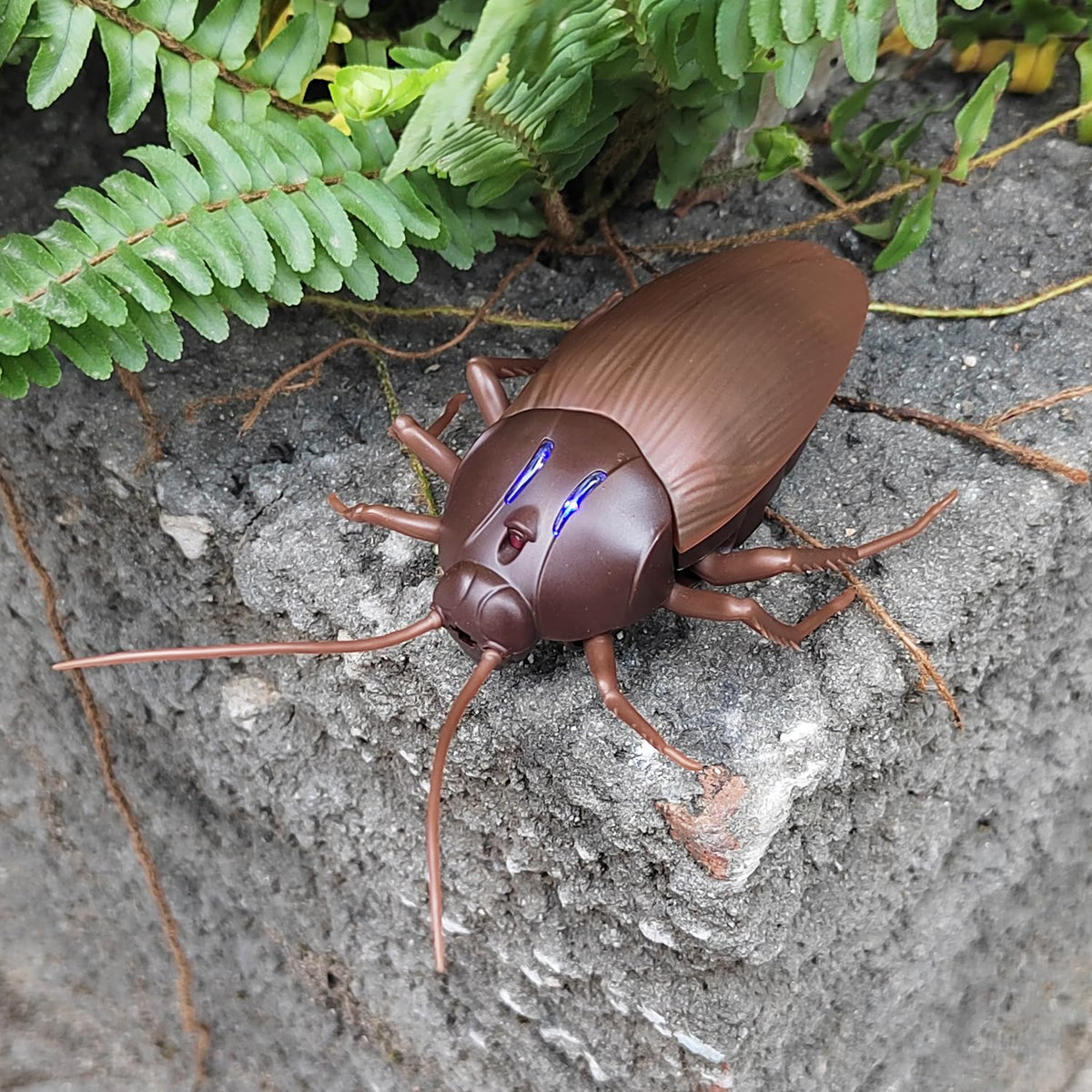 Tipmant RC cockroach remote control range of six to eight meters.