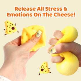 TLM Cheese Squishy packaging view highlighting gift-ready presentation