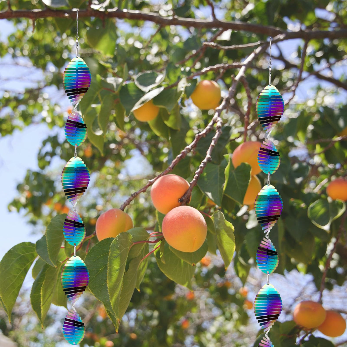 ToBeAce 360-degree hooks enabling effortless hanging and rotation.
