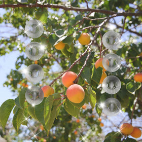 ToBeAce wind spinner outdoors in garden with sunlit shimmer deterring birds.