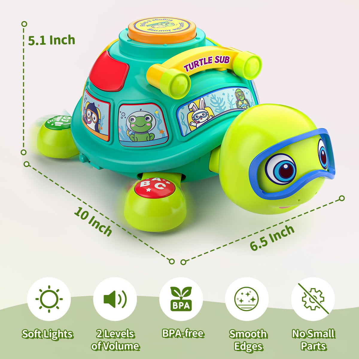 ToddlerCley Musical Turtle brings smiles during engaging playtime and learning.