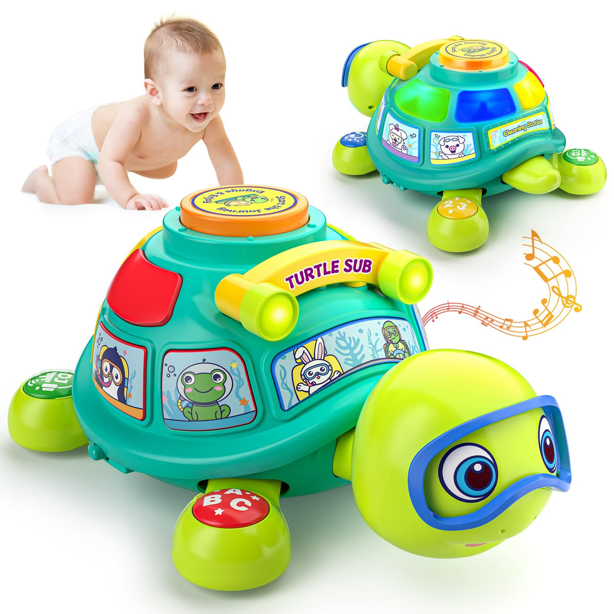 ToddlerCley Musical Turtle front view with bright lights aiding focus and early crawling.