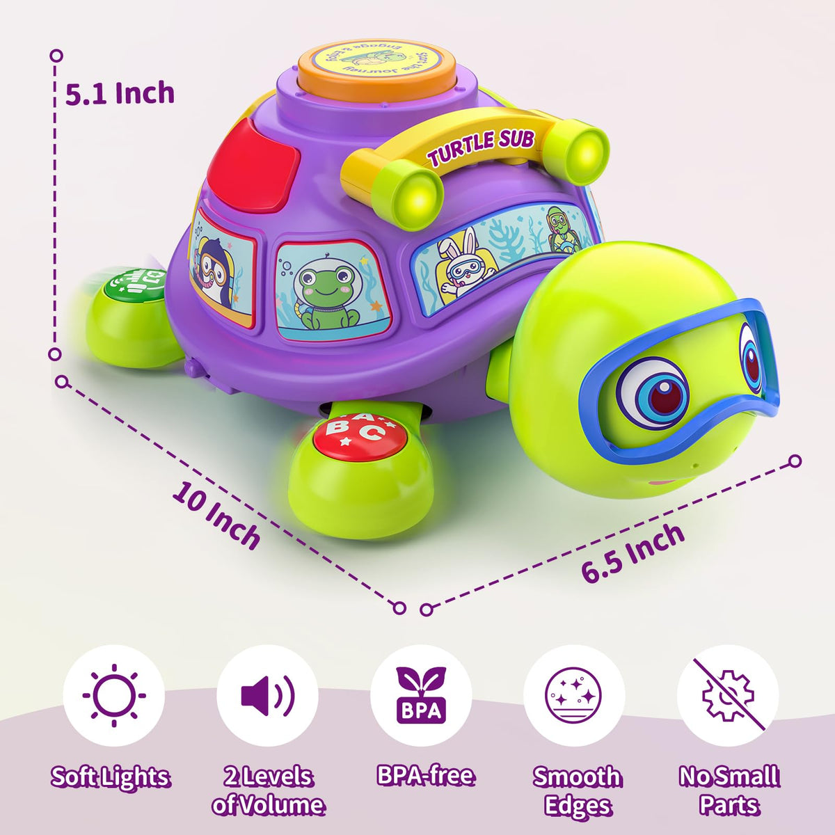 ToddlerCley musical turtle toy safe ABS BPA-free design for safe play